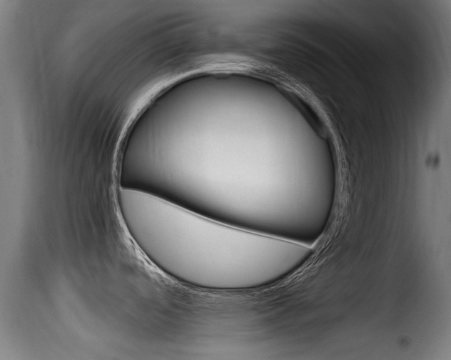 X0000116101488200911230920