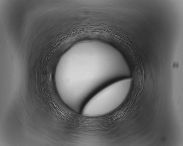 X0000116101489200911230920