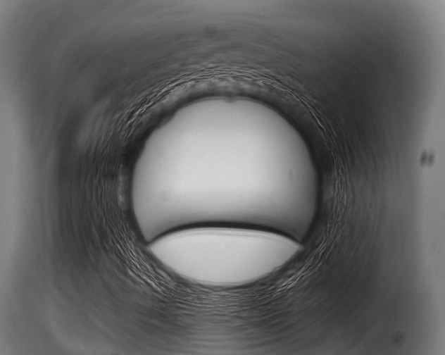 X0000116101490200911230920