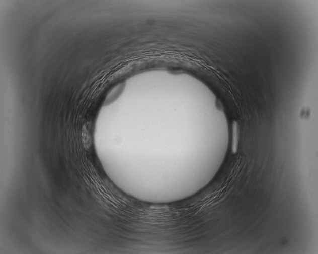 X0000116101491200911230920