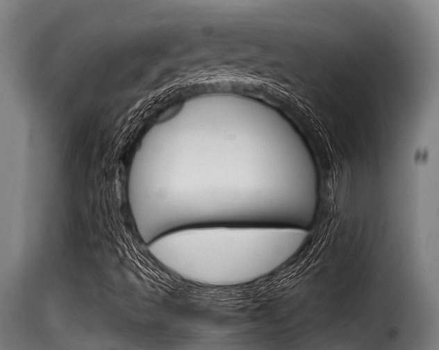 X0000116101493200911230920