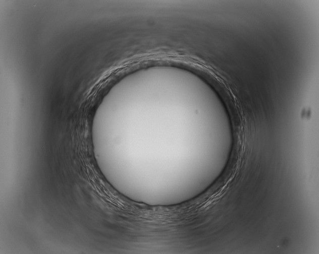 X0000116101494200911230920