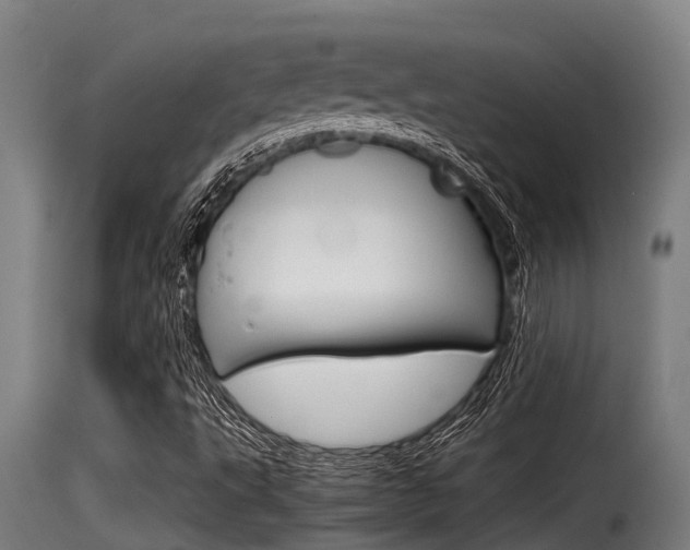 X0000116101495200911230920