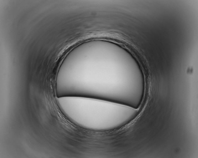 X0000116101497200911230920