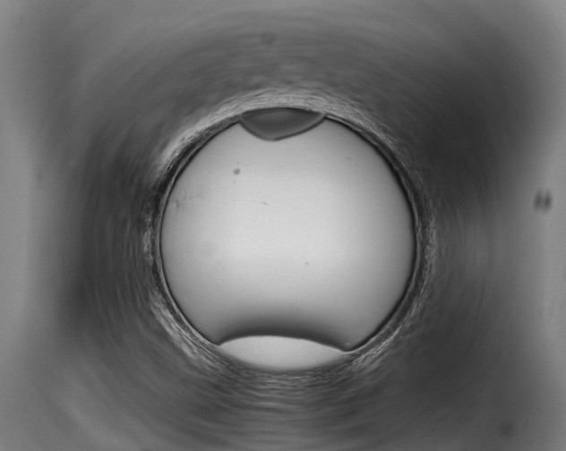 X0000116101499200911230920