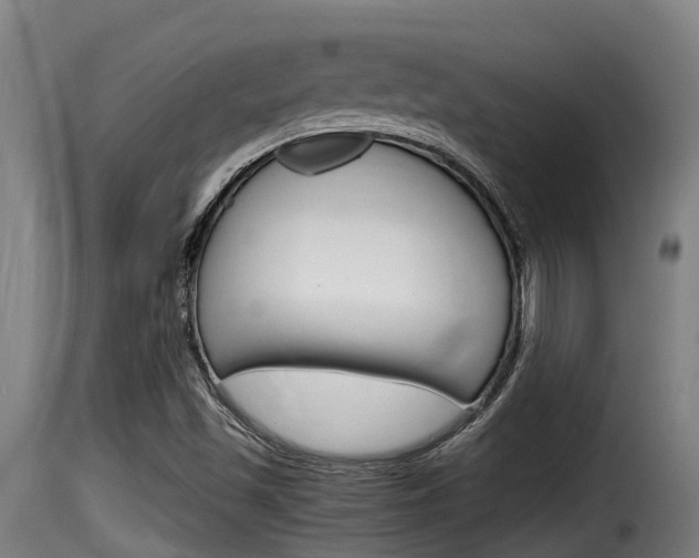 X0000116101501200911230920