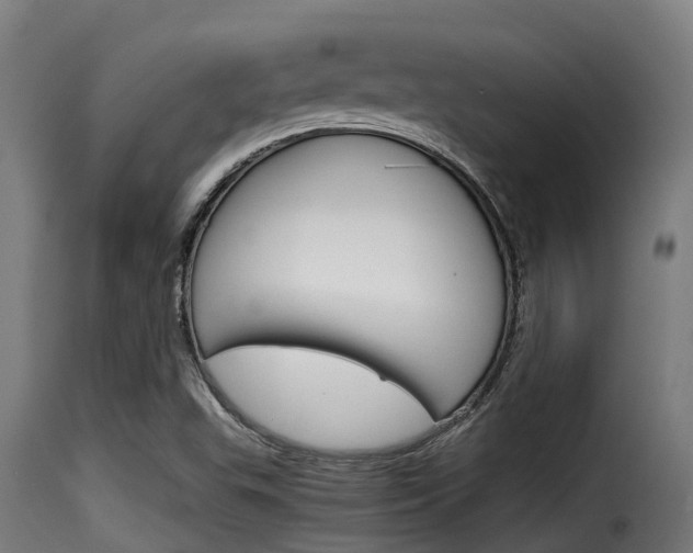 X0000116101503200911230920