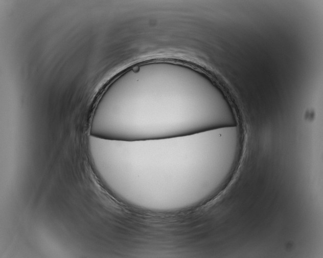 X0000116101505200911230920
