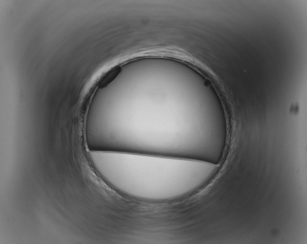 X0000116101506200911230920