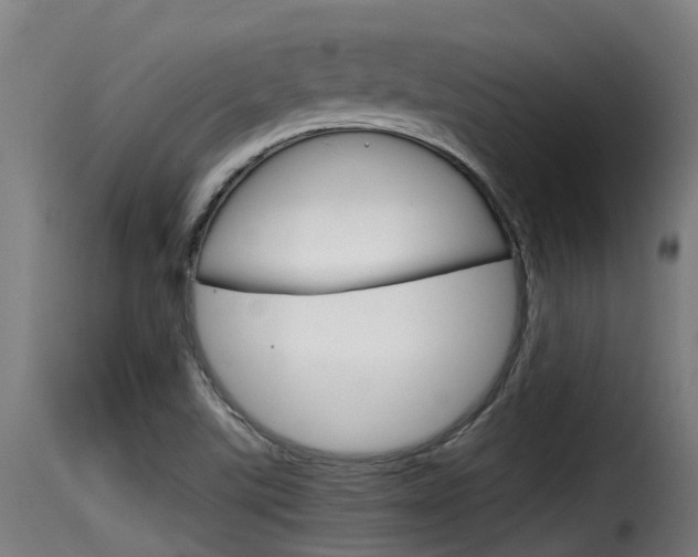 X0000116101507200911230920