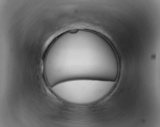 X0000116101509200911230920