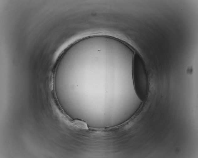 X0000116101510200911230920