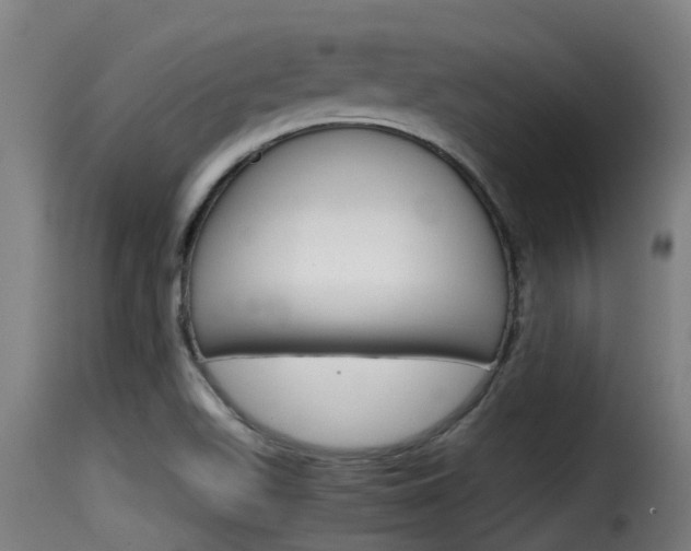 X0000116101511200911230920