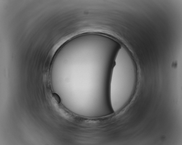 X0000116101513200911230920