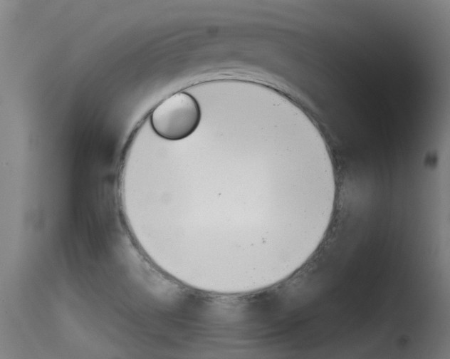 X0000116101514200911230920