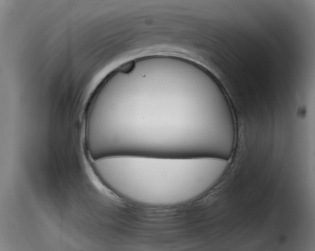 X0000116101515200911230920
