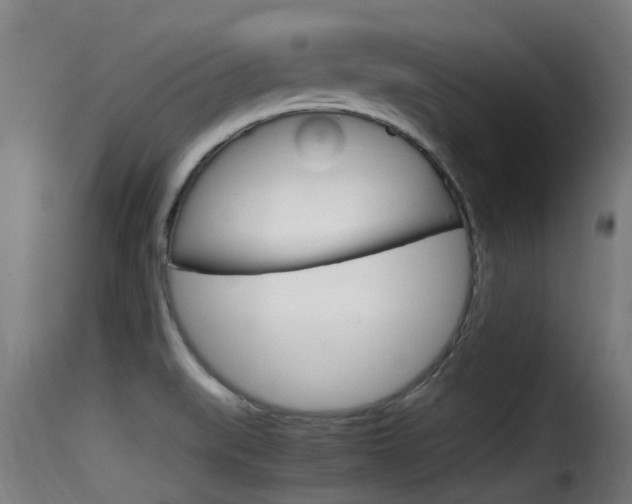 X0000116101519200911230920