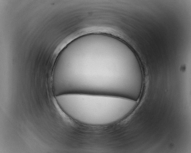 X0000116101521200911230920