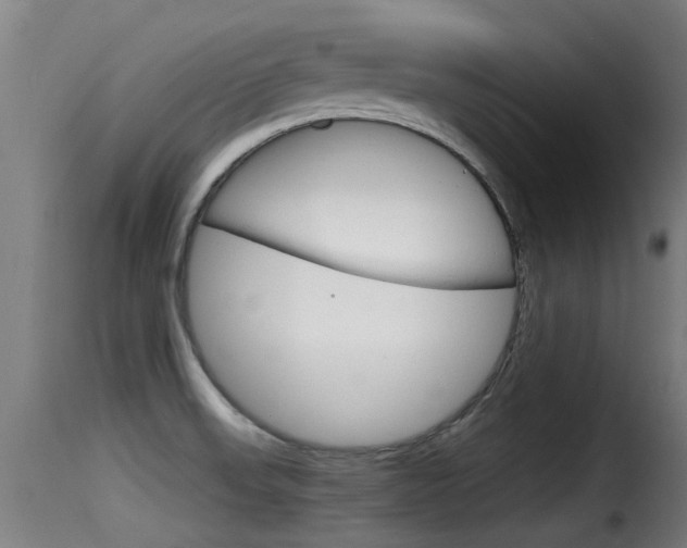 X0000116101523200911230920