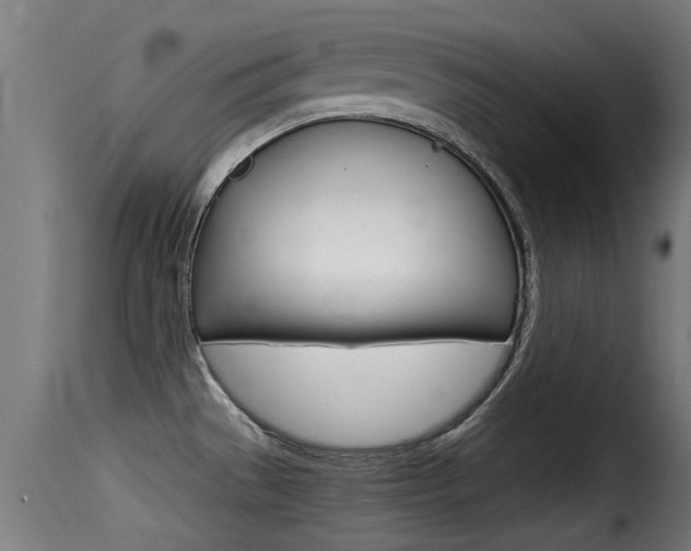 X0000116101529200911230920