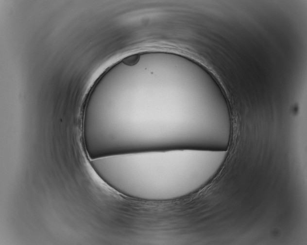 X0000116101531200911230920