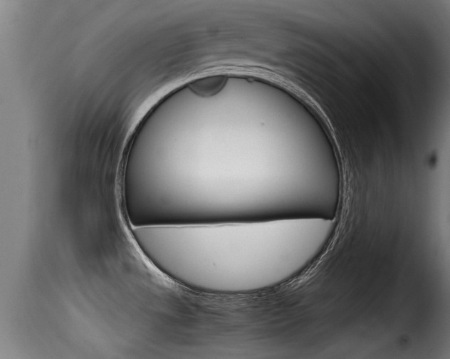 X0000116101533200911230920