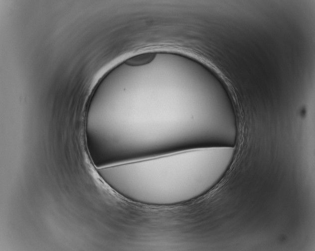 X0000116101534200911230920