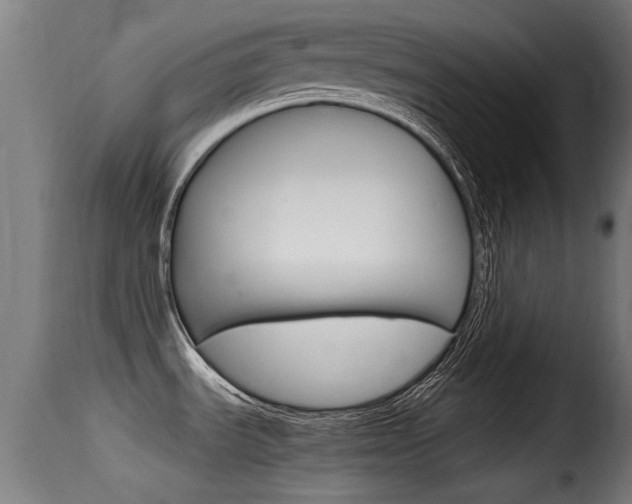 X0000116101535200911230920