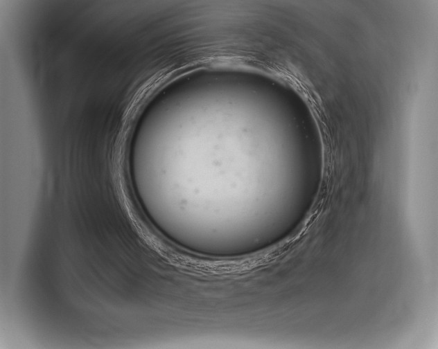 X0000116100001200911231135