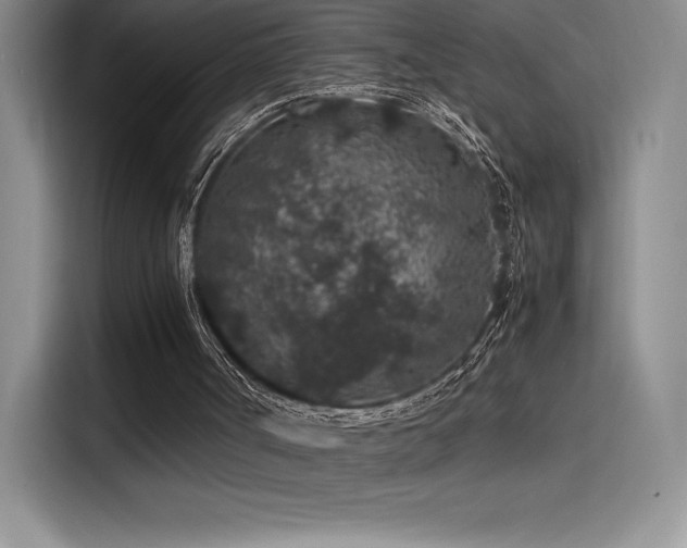 X0000116100002200911231135