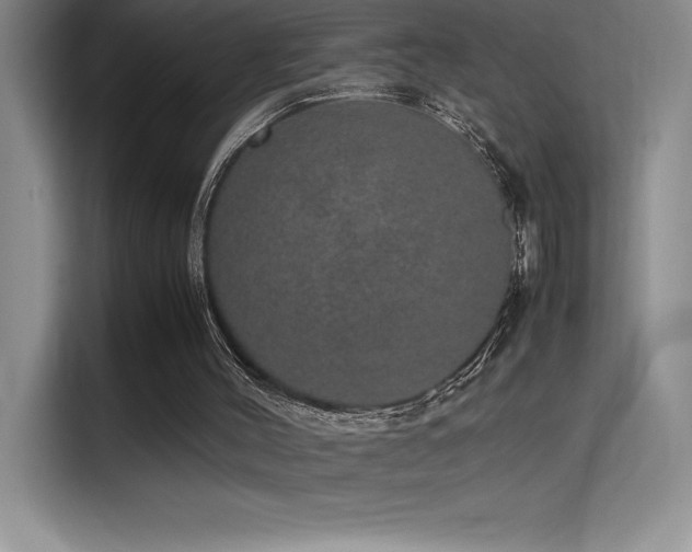 X0000116100004200911231135