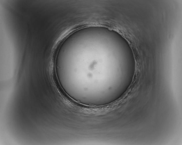X0000116100005200911231135