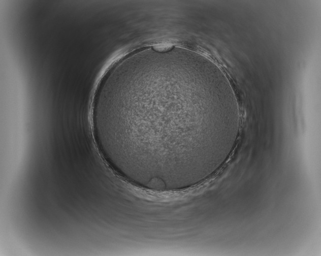 X0000116100006200911231135