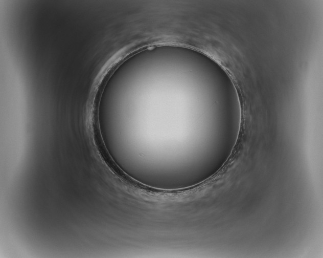 X0000116100007200911231135