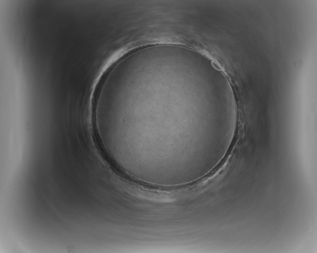 X0000116100008200911231135