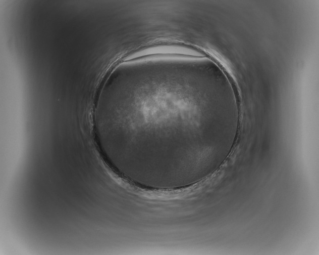 X0000116100009200911231135