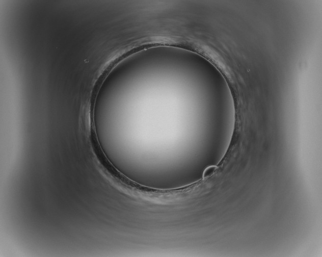 X0000116100011200911231135