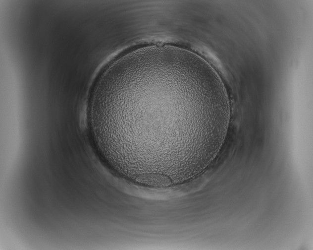 X0000116100012200911231135