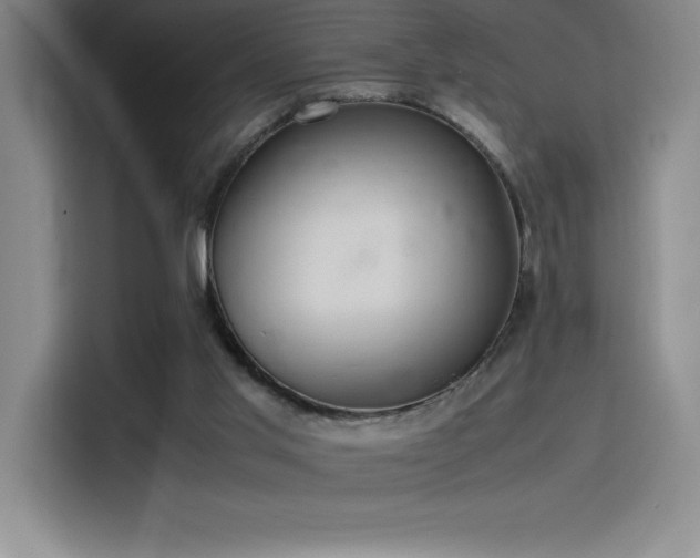 X0000116100013200911231134