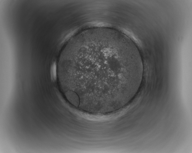 X0000116100014200911231134
