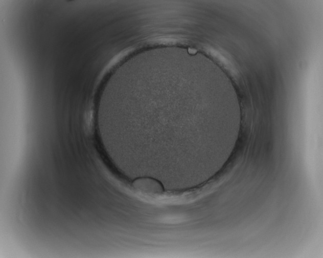X0000116100016200911231134