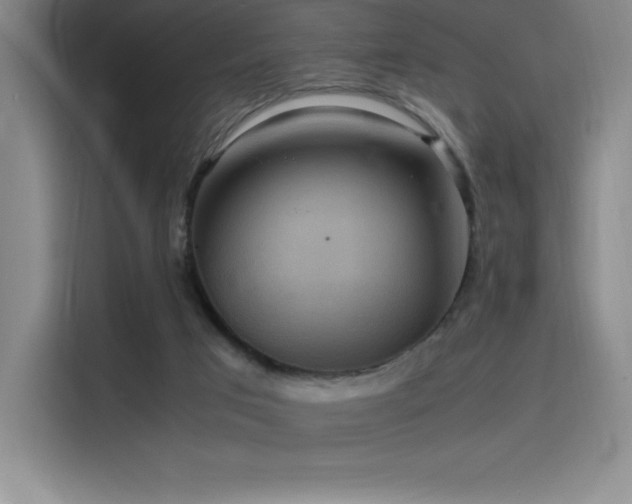 X0000116100017200911231134