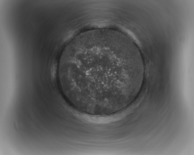X0000116100018200911231134