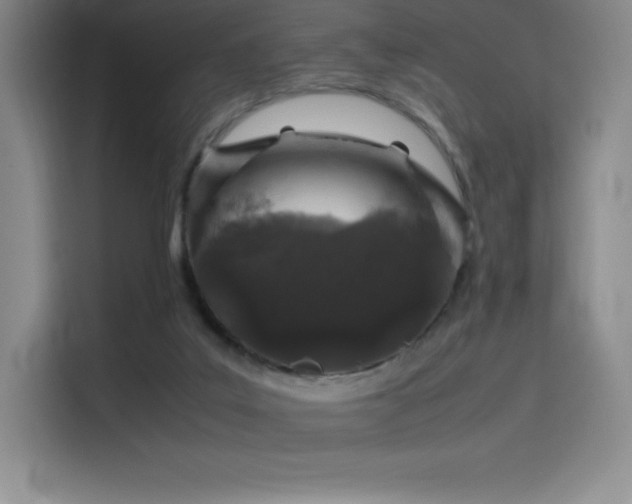 X0000116100019200911231134