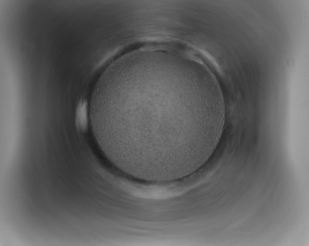 X0000116100020200911231134