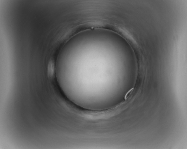 X0000116100021200911231134