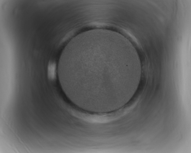 X0000116100024200911231134