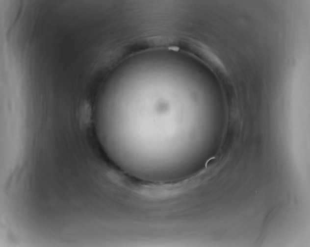 X0000116100025200911231134