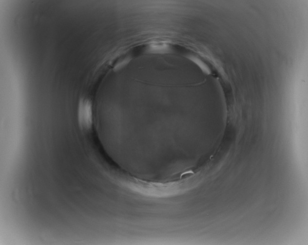 X0000116100027200911231134