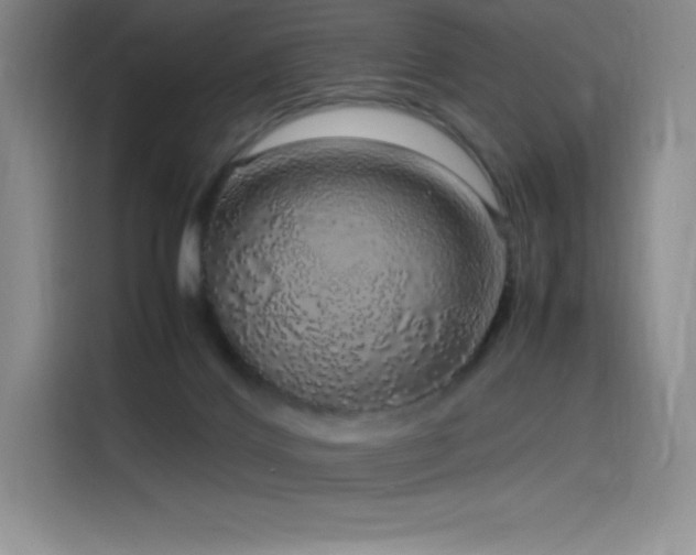 X0000116100028200911231134